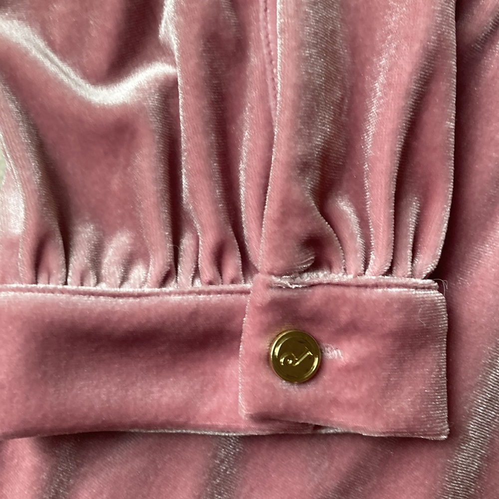 Beautiful Jude Conally rose color, soft velveteen dress - Picture 4 of 16